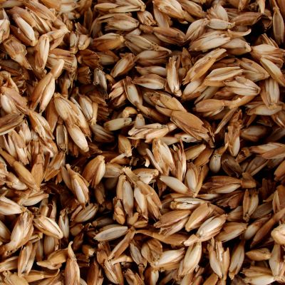 Nachfüllung Bio-Dinkelspelzen  