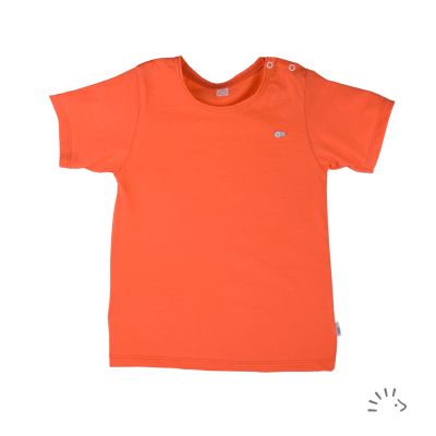 T-Shirt Single Jersey 